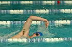 Swimming vs Bentley  Wheaton College Swimming & Diving vs Bentley College. - Photo by Keith Nordstrom : Wheaton, Swimming & Diving